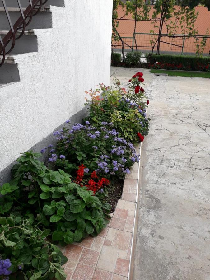 Kuca Za Odmor Varos Villa Vrlika Екстериор снимка